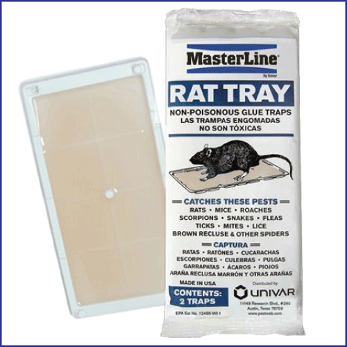FREE SHIPPING ONE PACK 2 TRAYS Details about   MASTER LINE EXTRA LARGE RAT/MOUSE GLUE TRAYS 
